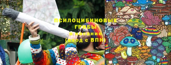 каннабис Арсеньев