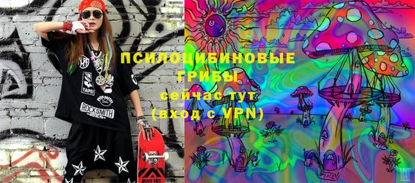 тгк Армянск