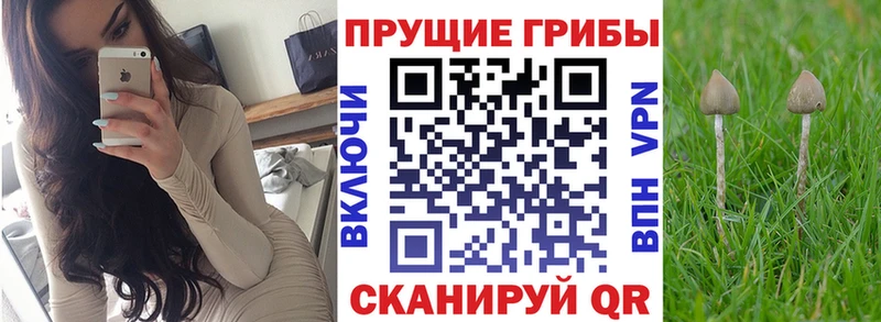 Галлюциногенные грибы ЛСД  нарко площадка какой сайт  кракен ТОР  Невинномысск  дарнет шоп 